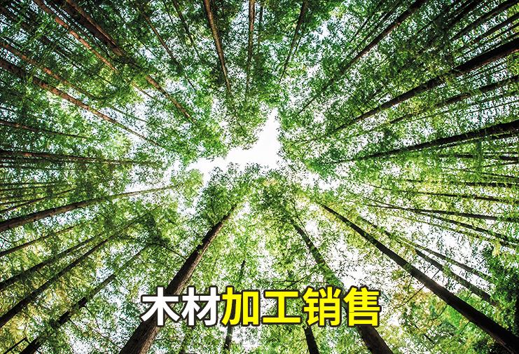 LX型電動(dòng)單梁懸掛起重機(jī)|3噸行吊